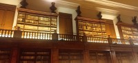 20241025_172139.jpg 20241025_172139.jpg
