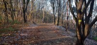 20241122_100051.jpg 20241122_100051.jpg