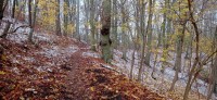 20241122_104702.jpg 20241122_104702.jpg