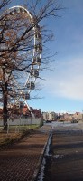 20241123_094732.jpg 20241123_094732.jpg