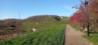 20241123_111822.jpg 20241123_111822.jpg