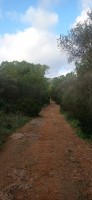 20241129_093944.jpg 20241129_093944.jpg