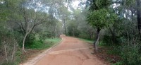 20241129_094729.jpg 20241129_094729.jpg