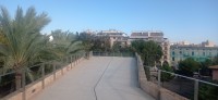20241129_112924.jpg 20241129_112924.jpg