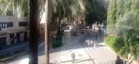 20241129_143126.jpg 20241129_143126.jpg