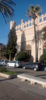 20241129_155239.jpg 20241129_155239.jpg