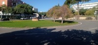 20241130_110211.jpg 20241130_110211.jpg