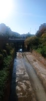 20241130_114249.jpg 20241130_114249.jpg