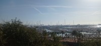 20241130_134110.jpg 20241130_134110.jpg