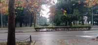 20241215_091033.jpg 20241215_091033.jpg