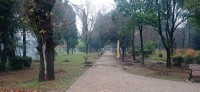20241215_091522.jpg 20241215_091522.jpg