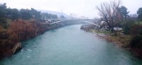 20241215_091949.jpg 20241215_091949.jpg
