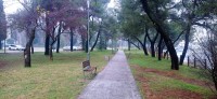 20241215_092137.jpg 20241215_092137.jpg