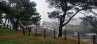 20241215_092209.jpg 20241215_092209.jpg