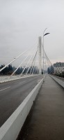 20241215_092618.jpg 20241215_092618.jpg