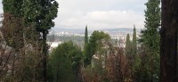 20241215_114326.jpg 20241215_114326.jpg