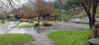 20250112_140929.jpg 20250112_140929.jpg