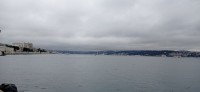 20250112_143617.jpg 20250112_143617.jpg