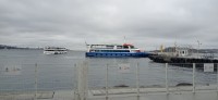 20250112_144223.jpg 20250112_144223.jpg