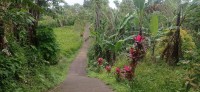 20250123_101528.jpg 20250123_101528.jpg