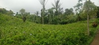 20250123_101553.jpg 20250123_101553.jpg