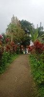 20250123_101700.jpg 20250123_101700.jpg