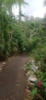 20250123_101756.jpg 20250123_101756.jpg