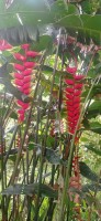20250123_102105.jpg 20250123_102105.jpg