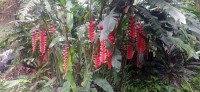 20250123_102800.jpg 20250123_102800.jpg