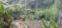 20250123_102906.jpg 20250123_102906.jpg