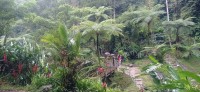 20250123_102935.jpg 20250123_102935.jpg
