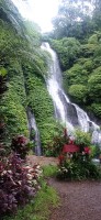 20250123_103356.jpg 20250123_103356.jpg