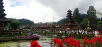20250123_113719.jpg 20250123_113719.jpg