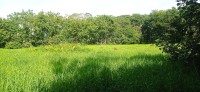 20250125_091117.jpg 20250125_091117.jpg