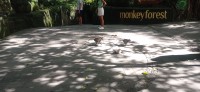 20250125_091633.jpg 20250125_091633.jpg