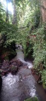 20250125_092654.jpg 20250125_092654.jpg