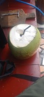 20250125_100918.jpg 20250125_100918.jpg