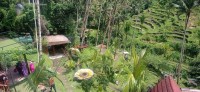 20250125_110706.jpg 20250125_110706.jpg