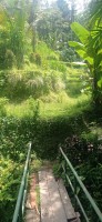 20250125_111332.jpg 20250125_111332.jpg