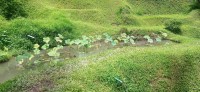 20250125_112516.jpg 20250125_112516.jpg
