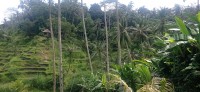 20250125_112617.jpg 20250125_112617.jpg