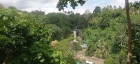 20250125_143303.jpg 20250125_143303.jpg