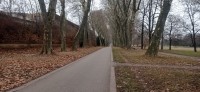 20250204_100608.jpg 20250204_100608.jpg