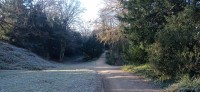 20250205_094801.jpg 20250205_094801.jpg