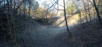 20250205_095023.jpg 20250205_095023.jpg