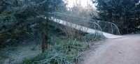 20250205_095032.jpg 20250205_095032.jpg