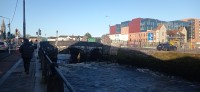 20250227_090110.jpg 20250227_090110.jpg