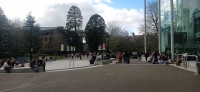 20250227_134333.jpg 20250227_134333.jpg