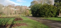 20250228_111237.jpg 20250228_111237.jpg