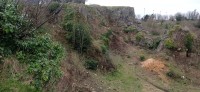 20250301_123702.jpg 20250301_123702.jpg
